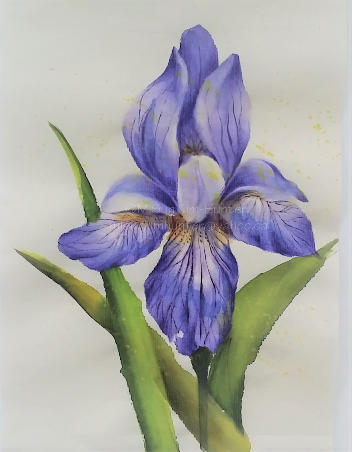 iris1 sample